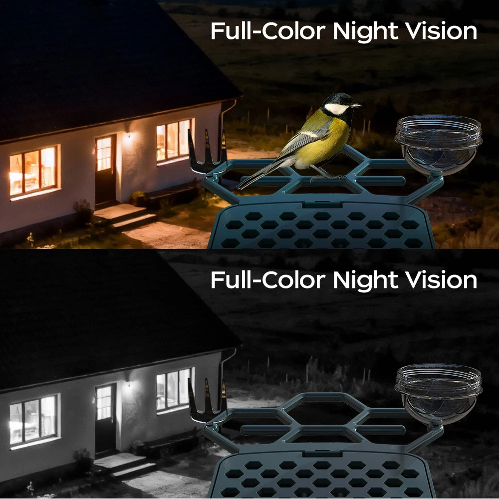 Telecamera per mangiatoia intelligente a energia solare Plugwell™ da 5 MP | Riconoscimento uccelli AI e videocamera wireless per esterni