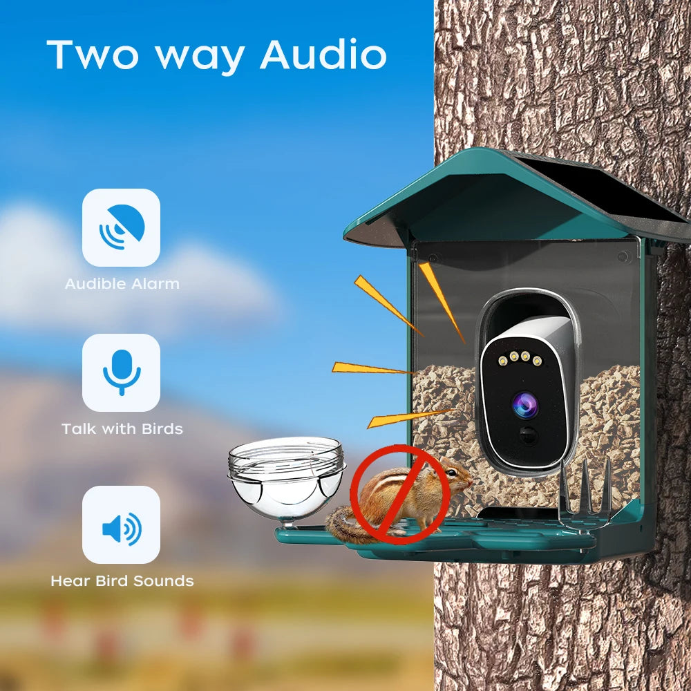Telecamera per mangiatoia intelligente a energia solare Plugwell™ da 5 MP | Riconoscimento uccelli AI e videocamera wireless per esterni