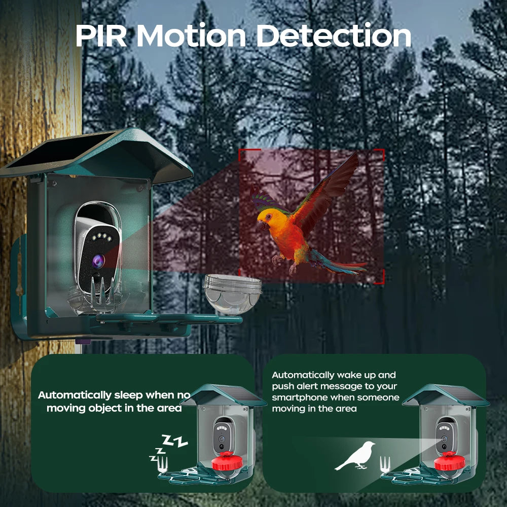 Telecamera per mangiatoia intelligente a energia solare Plugwell™ da 5 MP | Riconoscimento uccelli AI e videocamera wireless per esterni