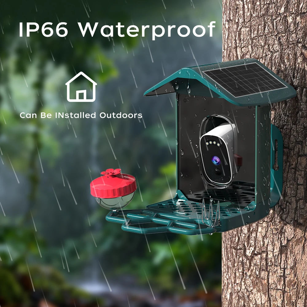 Telecamera per mangiatoia intelligente a energia solare Plugwell™ da 5 MP | Riconoscimento uccelli AI e videocamera wireless per esterni