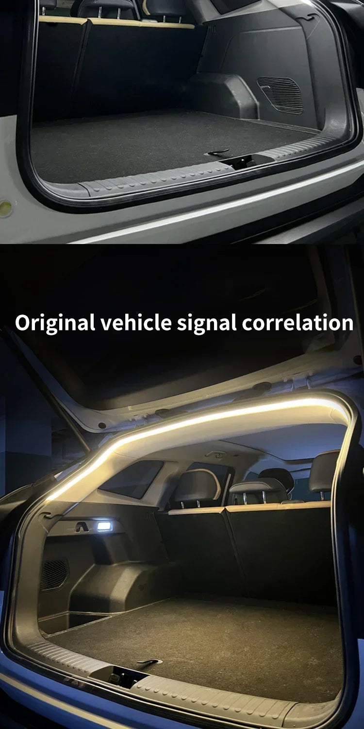 Plugwell™ 自動LEDテールゲート＆トランクアンビエントライトストリップ